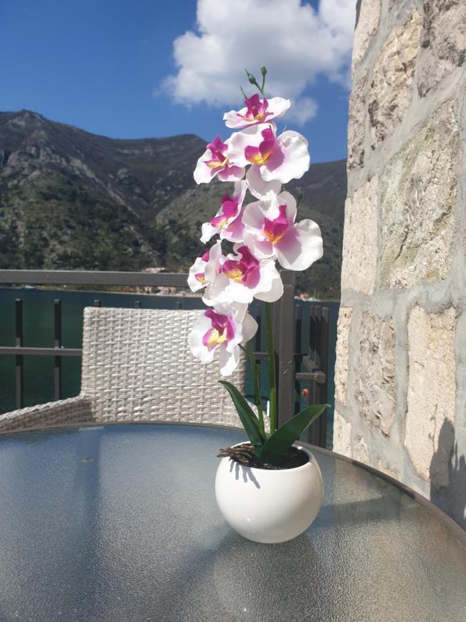 Savic Apartments Kotor Exterior photo